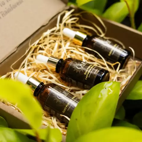 Coleção óleos Puros da Amazônia - 3x30ml - comprar online