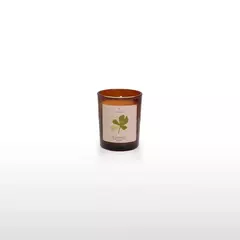 Mata Atlântica Vela Aromática 50gr - comprar online