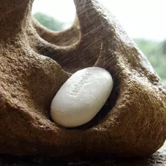 Mata Atlântica Sabonete em Barra 50gr - comprar online