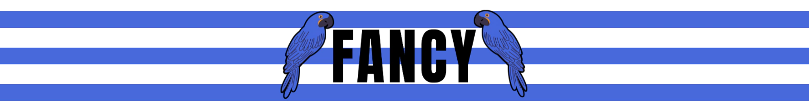 Banner da categoria Saias