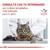 Royal Canin Gastrointestinal Fibre Response Feline - Mercadito Mascotero