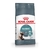 Royal Canin Cat Hairball Care