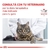 Royal Canin Renal Feline - tienda online