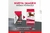 Excellent Adulto Razas Mediana y Grande - comprar online