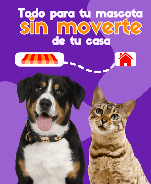 Carrusel 1