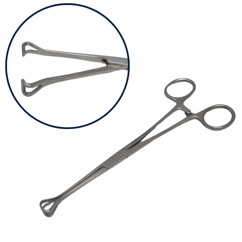 Pinza Babcock 18cm Acero Inoxidable Belmed