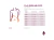 Faja Post Operatoria Elástica Regulable Alta 33cm Unisex - comprar online