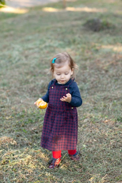 Tictac PP na internet