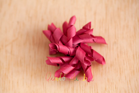 Laço Korker Rosa Rosewood