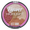 ILUMINADOR CON RUBOR FLOWER