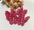 Par de Borboletas Pink