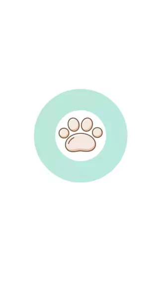 Coleiras Pet Cat