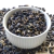 Porotos Negros Germinados en internet