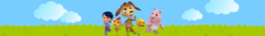 Banner de la categoría Perro Chocolo