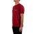 Remera VEXLEY Co. Bordo en internet