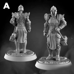 Female Silver Knight