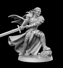 Elven Knight