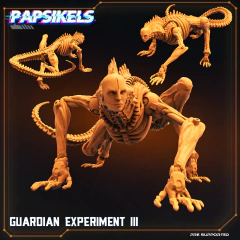 GUARDIAN EXPERIMENT III