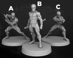 Gray Fox
