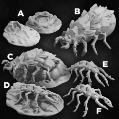Sand Maggots