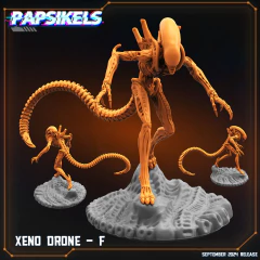Imagen de XENO DRONES
