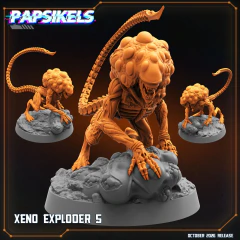 Imagen de XENO EXPLODERS
