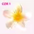 Presilha Flor Pinterest - comprar online
