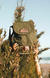 MATERA PREMIUM GREEN - materos