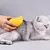 Escova Autolimpante 3 Em 1 Para Pets A Vapor com Spray - ASHASTORE