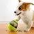 Brinquedo Interativo Para Cães com Dispenser para Petisco - ASHASTORE