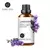 Óleos essenciais Evoke 100ml - comprar online