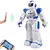 2021 quente rc robô ação inteligente caminhada cantando dança figura de ação gesto sensor brinquedos presente para crianças