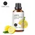 Óleos essenciais Evoke 100ml - comprar online
