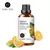 Óleos essenciais Evoke 100ml - ASHASTORE