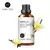 Óleos essenciais Evoke 100ml - ASHASTORE