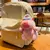 Capivara rosa Anime Boneca De Pelúcia, Leão Chapéu Dança, Brinquedo Fofo, Pe