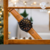 Reloj para Caballero Timberland- Color Bronce , Tema Bronce y Negro TBL.14816JLB-02 en internet