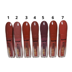 Labial Liquido Matte Color Stay 24H Karite - comprar online