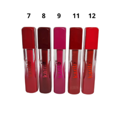 Labial Liquido Lip Gloss 24H Karite en internet