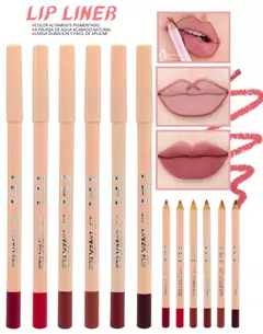 Delineador Madera Labios TEI 8062