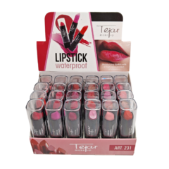 Lapiz Labial LipStick Tejar Cuad Neg 963