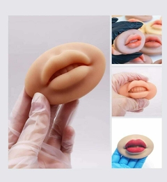 Labio de Practica