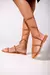 CHATA MUSCAT - comprar online