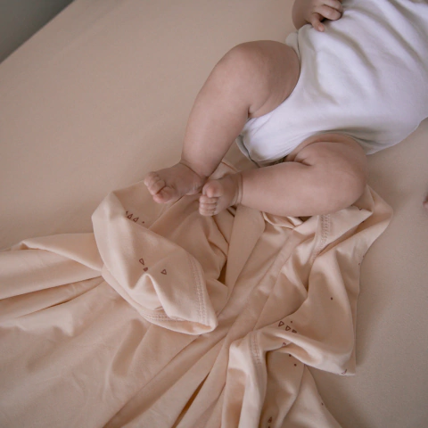 SABANA PLANA FUNCIONAL - CONEXIONES DURAZNO