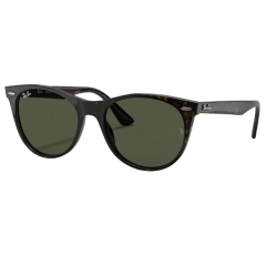 Wayfarer II 2185