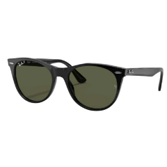 Imagen de Wayfarer II 2185