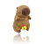 Capivara P Com Pintinho 30cm