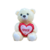 Urso Pelúcia Com Coração 20cm - comprar online