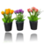 Flor Artificial Tulipa 24cm