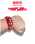 PULSEIRA ARIRANG na internet